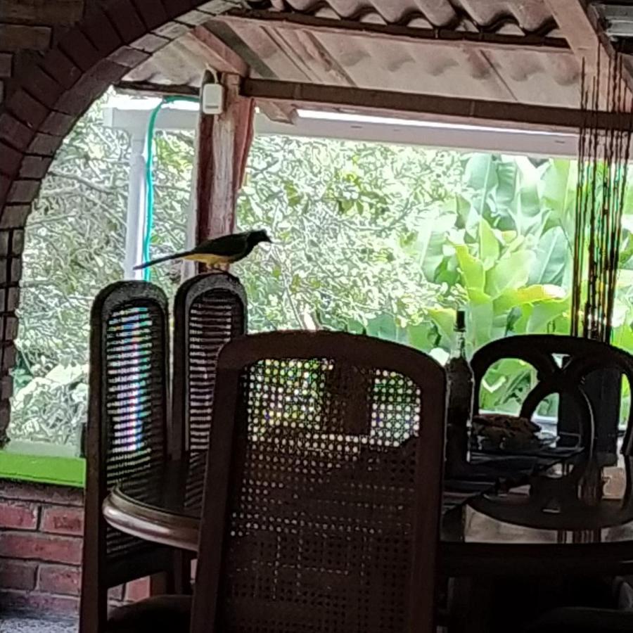 La Acuarela, Posada De La Monita Pereira Exterior foto