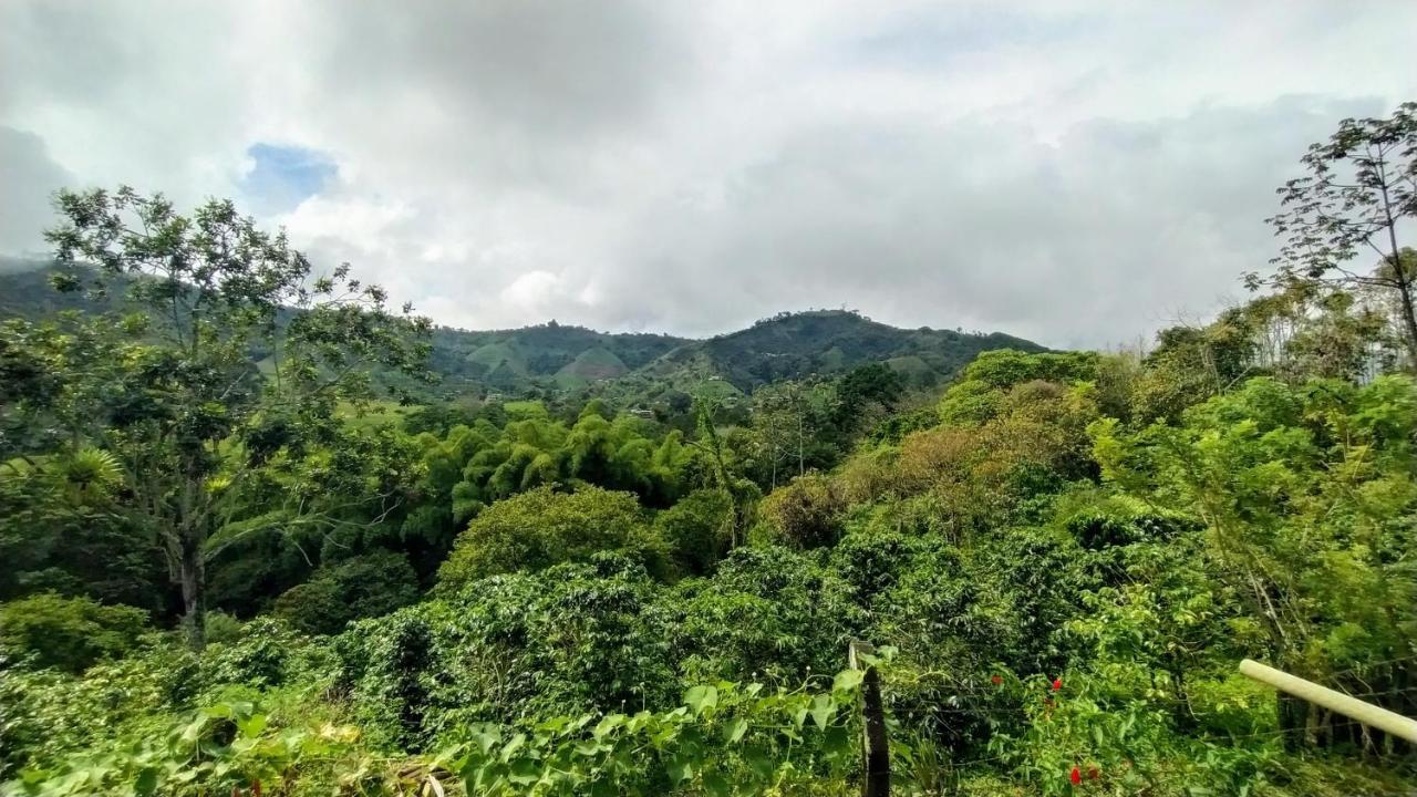 La Acuarela, Posada De La Monita Pereira Exterior foto